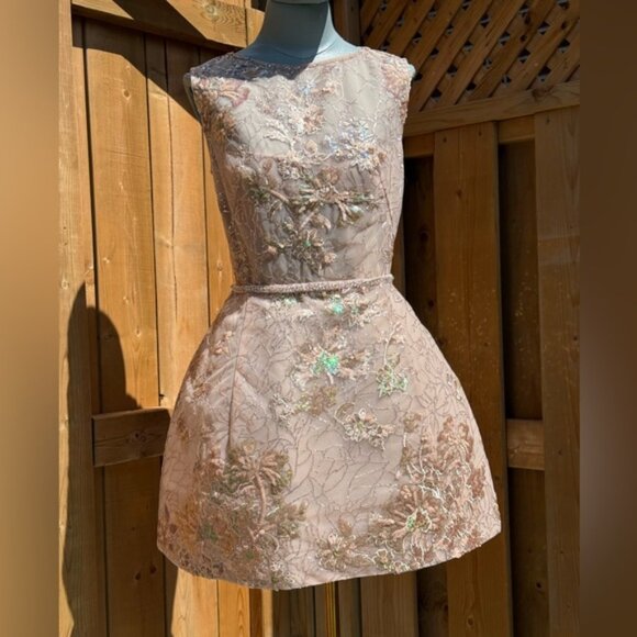 🆕 BRONX & BANCO 🧿 NWOT Violet Mini Dress, Gold & Champagne Sequin - Sz M US 6 - Picture 2 of 15